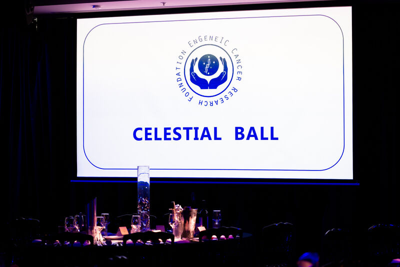A moment from The Celestial Ball