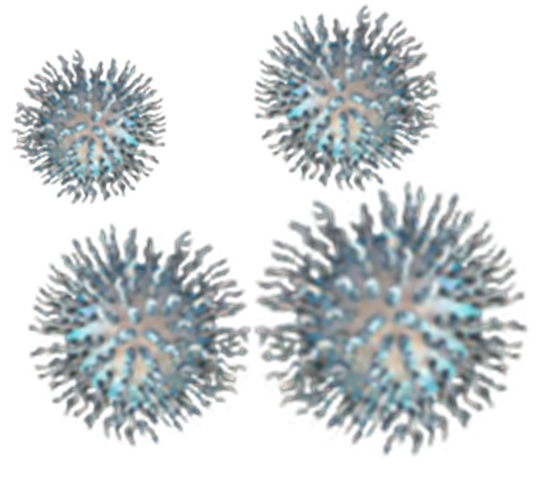 Cluster of empty EDV nanocells